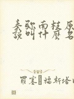 秦弥南枝原著小说叫什么名字