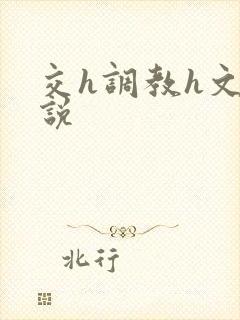 交h调教h文小说封面
