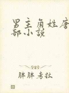 男主角姓唐的全部小说