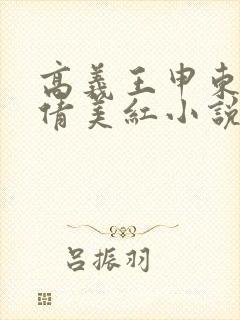 高义王申东子孙倩美红小说