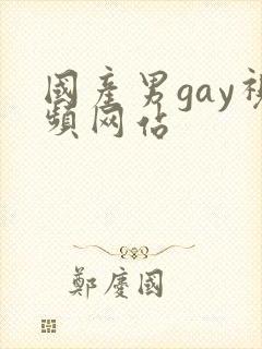 国产男gay视频网站