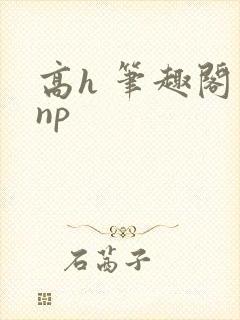 高h 笔趣阁 np封面