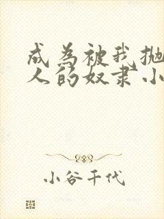 成为被我抛弃的人的奴隶小说免费阅读