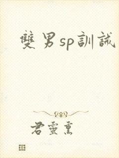 双男sp训诫文
