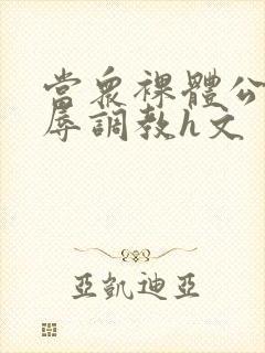 当众裸体公开羞辱调教h文封面