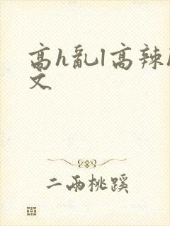 高h乱l高辣h文