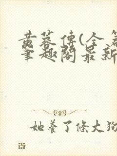 黄蓉传(全篇)笔趣阁最新章节免费阅读封面