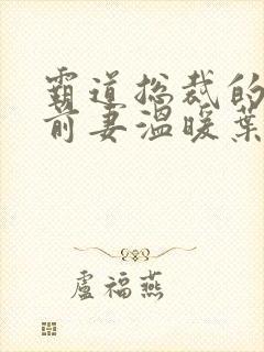 霸道总裁的替身前妻温暖叶非墨封面