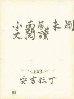 小南风未删减全文阅读