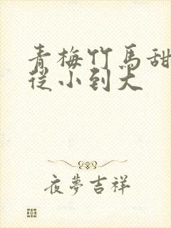青梅竹马甜宠文从小到大