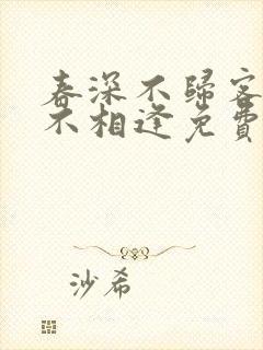 春深不归客清梦不相逢免费阅读全文