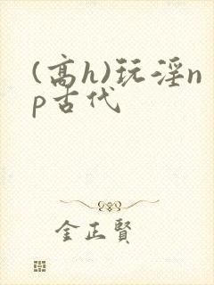 (高h)玩淫np古代