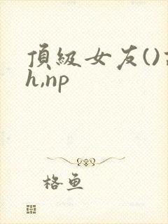 顶级女友()高h,np