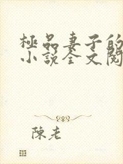 极品妻子的背叛小说全文阅读