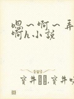 嗯～啊～弄嗯～啊h小说
