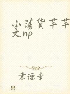 小荡货芊芊小辣文np