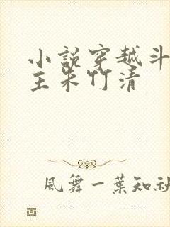 小说穿越斗罗女主朱竹清