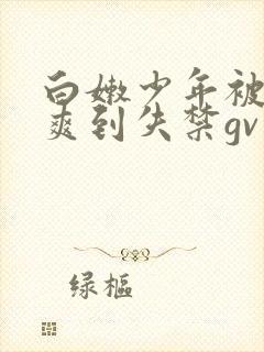 白嫩少年被调教爽到失禁gv小说