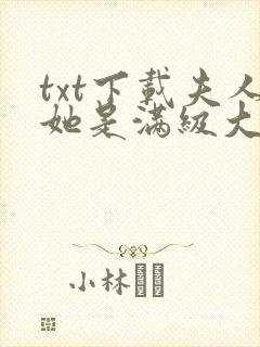 txt下载夫人她是满级大佬封面