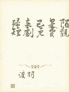 归来已是陌路人短剧免费观看全集