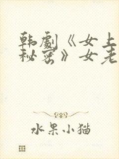 韩剧《女上司的秘密》女老板叫什么封面