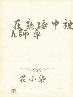 在熟睡中被强入h师尊