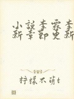 小说李霖李澜最新章节更新情况