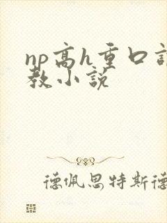 np高h重口调教小说封面