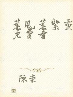 叶风叶紫灵小说免费看