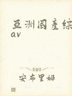 亚洲国产综合性av
