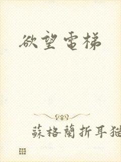 欲望电梯