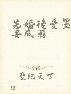先婚后爱墨少宠妻成瘾