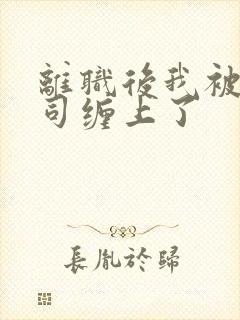 离职后我被前上司缠上了