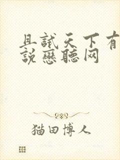 且试天下有声小说恋听网封面