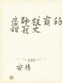 痞帅校霸的校园甜宠文