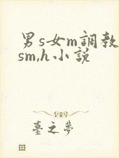 男s女m调教(sm,h小说