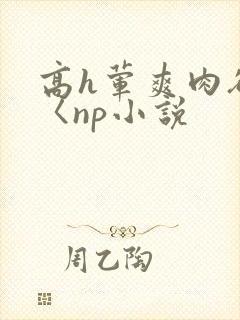高h荤爽肉欲文〈np小说