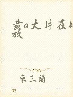 黄a大片在线播放封面