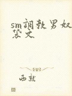 sm调教男奴囊袋文