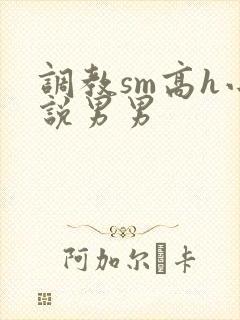 调教sm高h小说男男封面