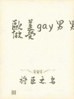 欧美gay男男做受