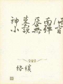 神墓辰南/雨馨小说无弹窗全文免费阅读