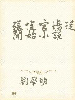 张俊官场从秘书开始小说封面