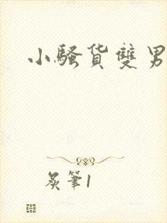 小骚货双男主封面