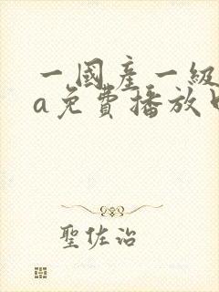 一国产一级淫片a免费播放口封面