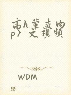 高h荤爽肉〈np〉文视频
