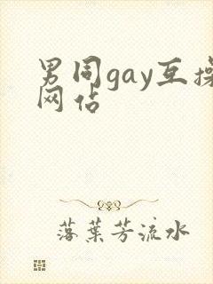 男同gay互操网站