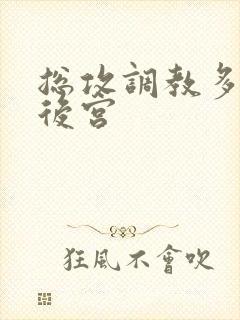 总攻调教多受奴后宫封面