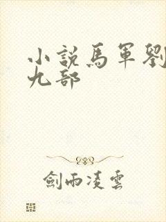 小说马军刘艳第九部