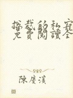 总裁的私宠宝贝免费阅读全文封面